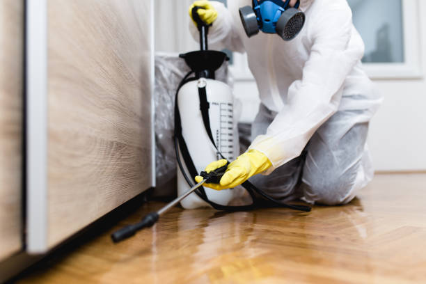 Best Affordable Pest Control Services  in Edwards, MS