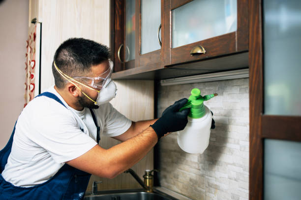 Best Commercial Pest Control Services  in Edwards, MS