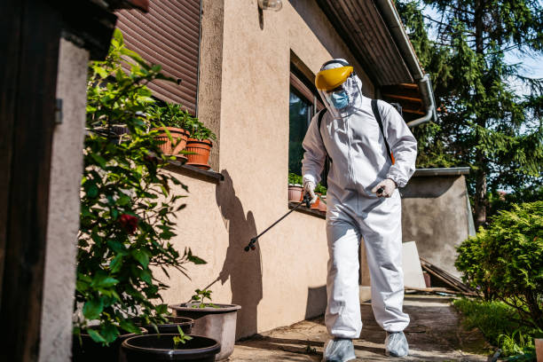 Best Residential Pest Control  in Edwards, MS