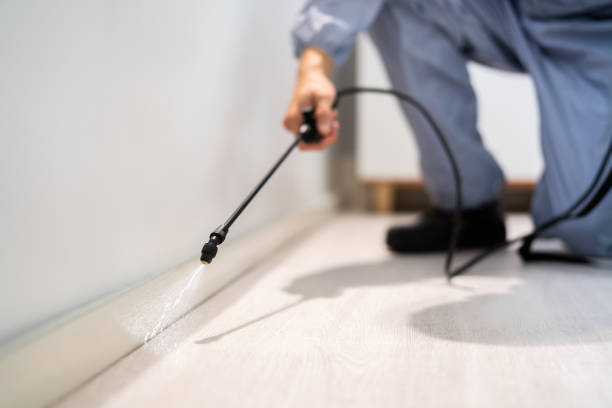 Professional Pest Control in Edwards, MS