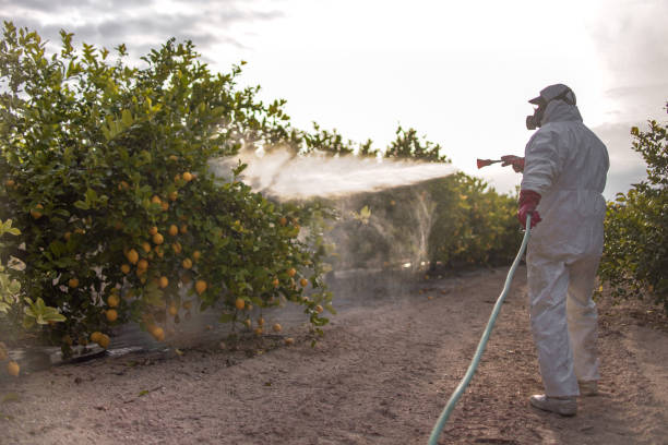 Best Pest Removal Services  in Edwards, MS