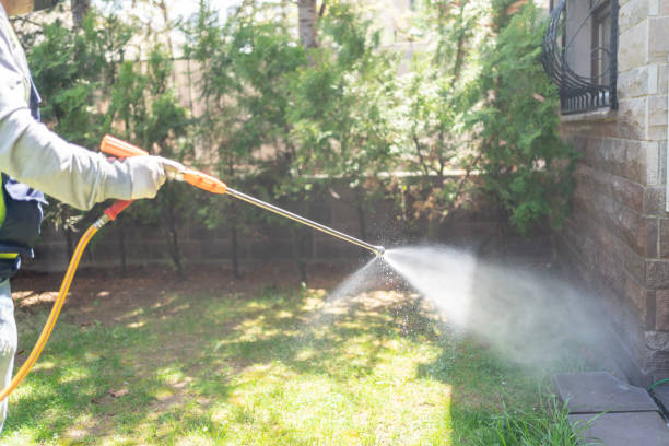 Best Best Pest Control Companies  in Edwards, MS