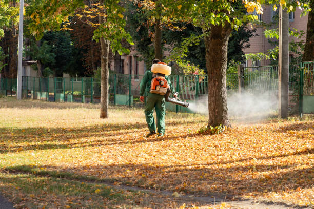 Best Termite Control Services  in Edwards, MS