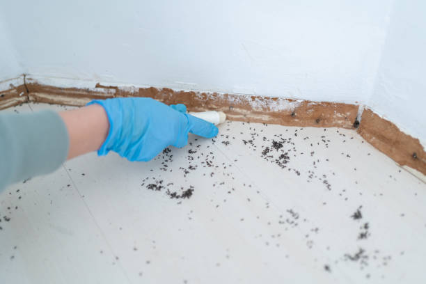 Best Emergency Pest Control  in Edwards, MS
