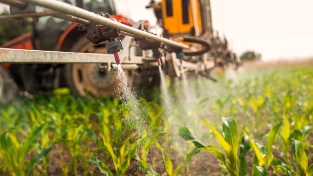 Best Pest Control Treatment  in Edwards, MS